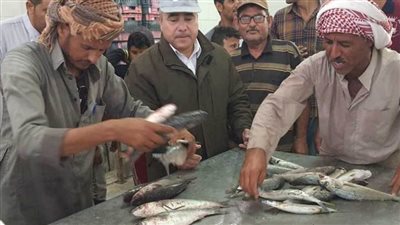 محافظ شمال سيناء: البردويل وفرت الأسماك بأسعار مناسبة