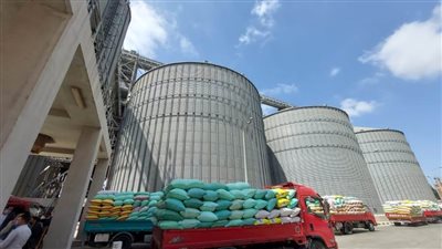 محافظ البحيرة : توريد ٣٩٦٤٧.٢٥٤ طن قمح للصوامع والشون