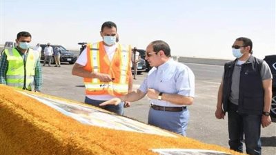 الرئيس السيسي: سوق السيارات الجديد سيعمل طوال الأسبوع والافتتاح خلال 4 شهور
