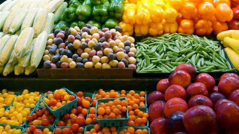 صادرات مصر الزراعية