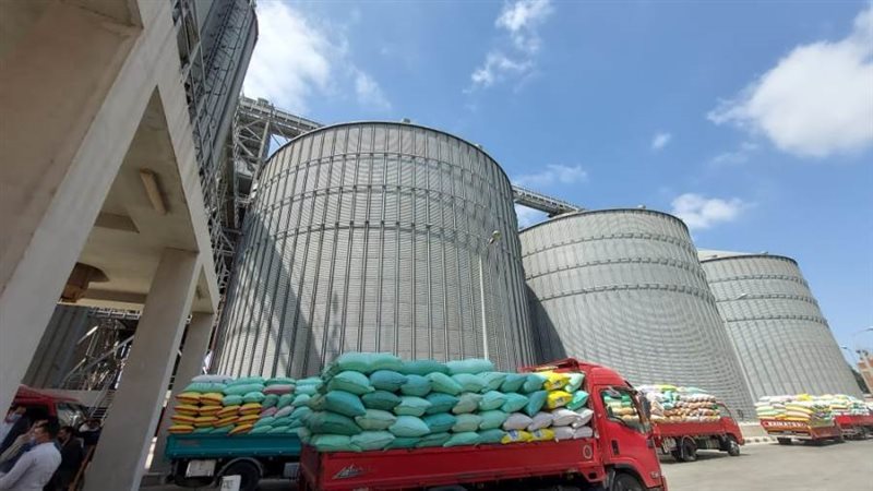 توريد القمح بالبحيرة