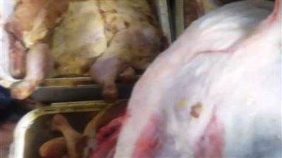 ضبط 440 كجم أسماك مملحة ولحوم منتهية الصلاحية بمنيا القمح