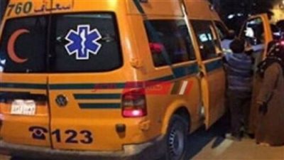 ضبط عاملين طعنا آخر بسبب خلافات الجيرة بمحلاتهم التجارية بسوهاج