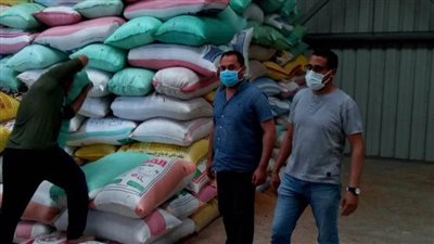 توريد ٥٧ طن قمح للشون والصوامع بالبحيرة