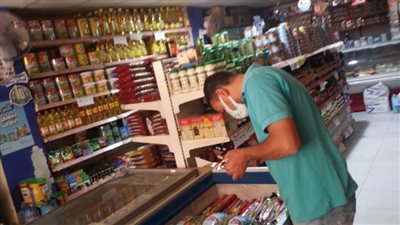 صحة المنيا تضبط 6 منشآت غذائية غير مرخصة وتحرر 99 محضرا تزامناً مع أعياد الربيع