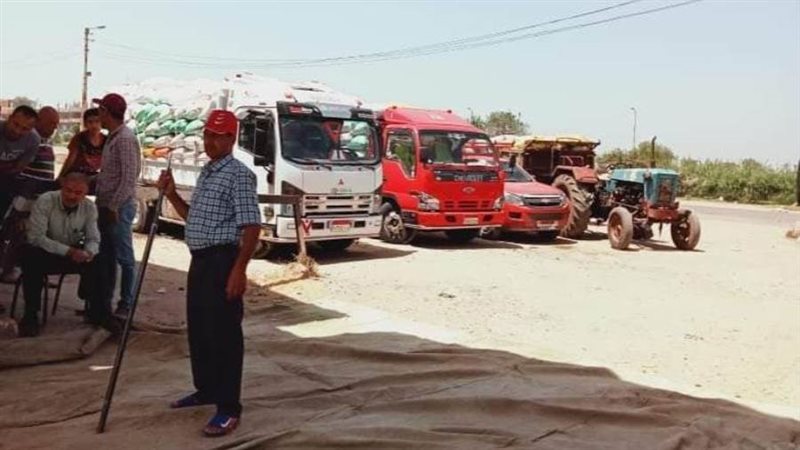 توريد القمح بالبحيرة