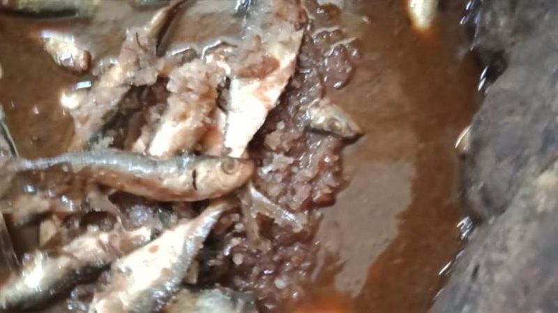 جانب من المضبوطات