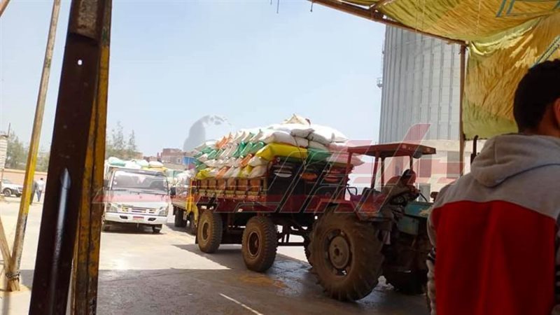 توريد القمح