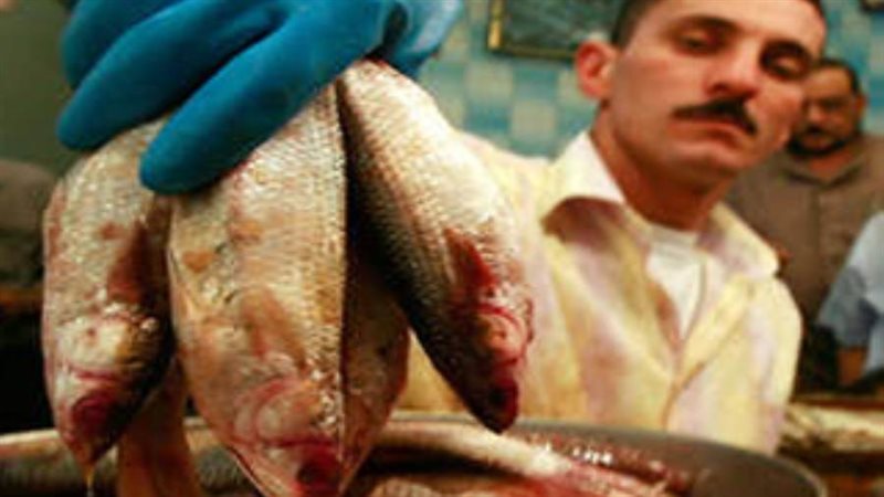 اسماك غير صالحة للاستهلاك