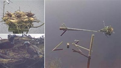 جريمة على ضفاف النهر.. وإجراء عاجل من الشرطة  