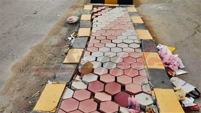 إعادة تطوير ورفع كفاءة الجزيرة الوسطى بكفر الشيخ