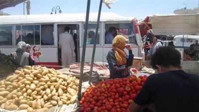 تموين شمال سيناء: خطة متكاملة لتوفير السلع استعدادًا لعيد الفطر