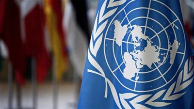 الأمم المتحدة: ارتفاع مبيعات التجزئة عالمياً بنسبة 19 %