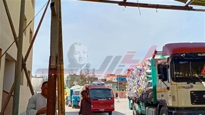 توريد 95409 أطنان و 705 كيلو قمح لصوامع وشون بكفر الشيخ