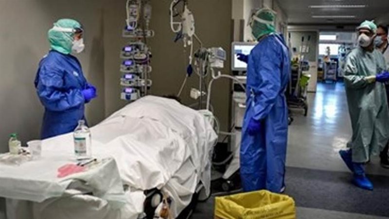 بوابة روز اليوسف