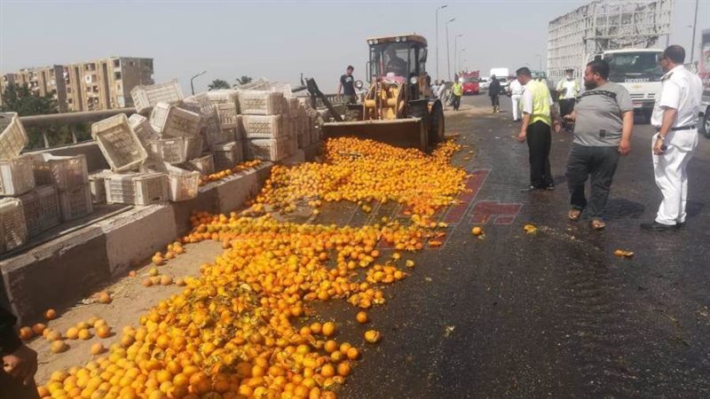 عربة البرتقال عطلة