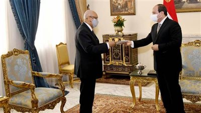 عاجل|الرئيس السيسي يستقبل زيني مولاي وزير خارجية جمهورية مالي بحضور سامح شكري