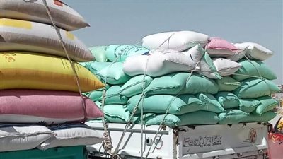 هشام آمنة: شون وصوامع البحيرة تستقبل 82 طن قمح