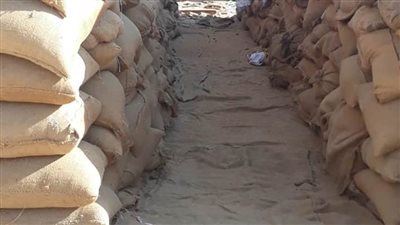 ارتفاع واردات القمح إلى 56 ألفا و464  طنا ببنى سويف 