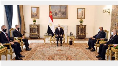 الرئيس السيسي للمبعوث الأمريكي:  قضية سد النهضة وجودية بالنسبة لمصر