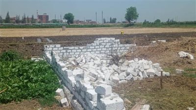 إزالة 7 حالات تعدٍ على الأراضي الزراعية في حملة بالبحيرة