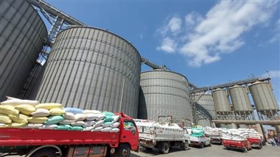 شون وصوامع محافظة البحيرة تستقبل 95 طن قمح