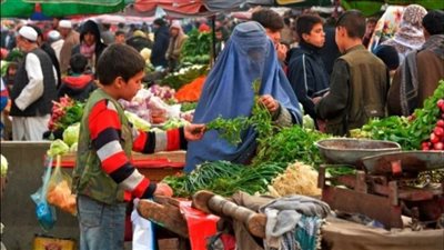 عاجل| المخابرات الأمريكية: هذا ما سيحدث حالة استعادت طالبان السلطة