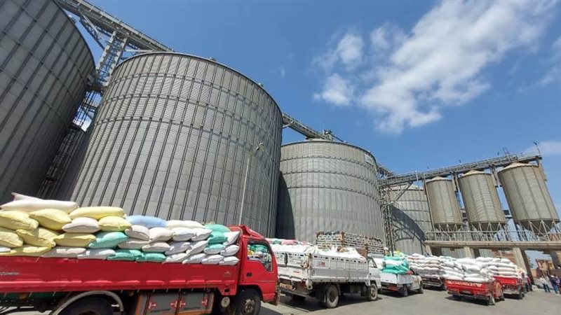 توريد القمح بالبحيرة