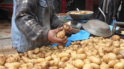 أسعار البطاطس اليوم الجمعة 7 مايو 2021 في الأسواق المصرية
