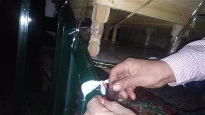 تطبيق قرارات غلق المحال.. حملات مكثفة وغلق وتشميع المنشآت المخالفة بالبحيرة