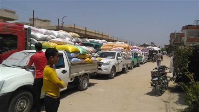 محافظ البحيرة: توريد ١٢٠ طن قمح للشون والصوامع