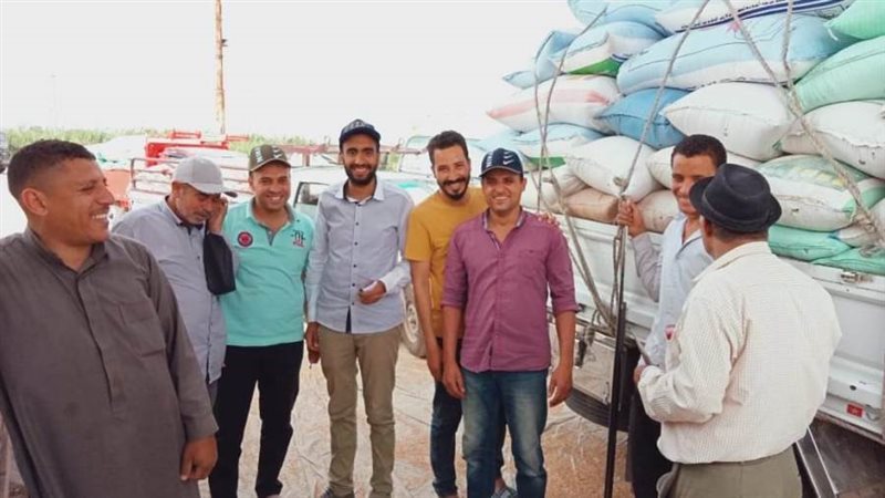 توريد القمح للصوامع