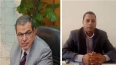 القوى العاملة بالوادي الجديد تستكمل حصر وتسجيل العمالة غير المنتظمة