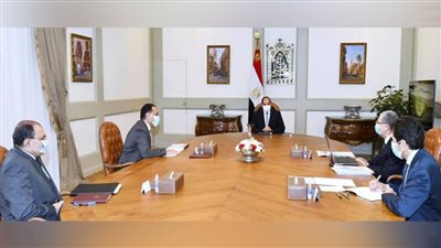 عاجل.. الرئيس السيسي يوجه بالالتزام بالجداول الزمنية للانتهاء من مشروعات إمدادات خطوط التغذية الكهربائية لسيناء