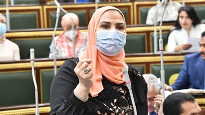 محمد درويش: التضامن الاجتماعي يعبر  بفصل الموظف متعاطي المخدرات لبر الأمان