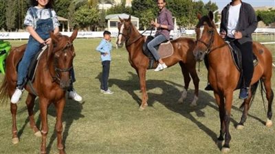 كلية الطب البيطري تنظم يوماًً تعليمياًً لطلاب الكلية عن طب الخيول في نادي الفروسية