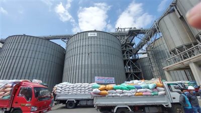 محافظ البحيرة : توريد 146 طن قمح للصوامع والشون بمدن المحافظة