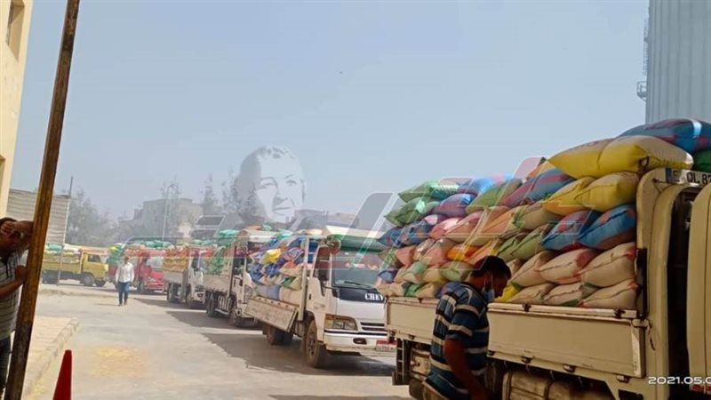 توريد القمح