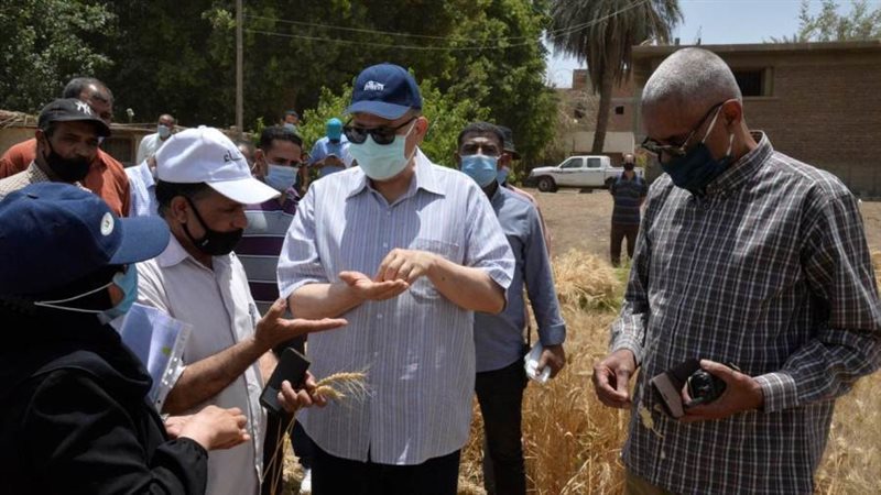 محافظ أسيوط يتفقد