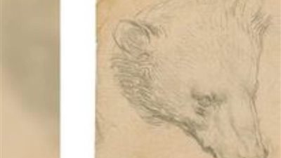 عاجل| رسم الدب الصغير ليونادرو دافنشي.. كم يستحق من ثمن ؟