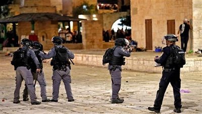 مجلس الشؤون الخارجية يدين الممارسات العدوانية للقوات الإسرائيلية