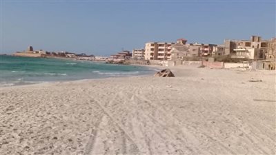  الإسكندرية: حملات مستمرة على الشواطئ والحدائق والمتنزهات للتأكد من الالتزام بالغلق الكامل 