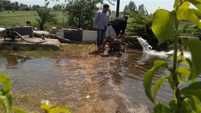 مجلس مدينة ديرب نجم يكثف أعمال نظافة وتجميل مدخل المدينة