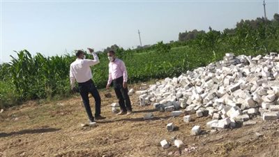 ثالث أيام العيد.. إزالة 6 حالات تعدٍ على الأراضي الزراعية بالبحيرة