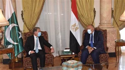 وزير خارجية باكستان يعرب لشكري عن تقديره لجهود مصر لوقف إطلاق النار