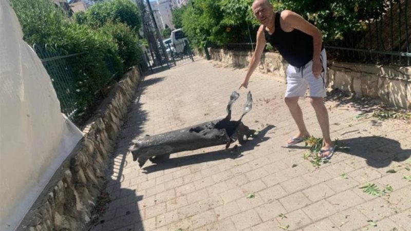 نزل الفنان الإسرائيلي