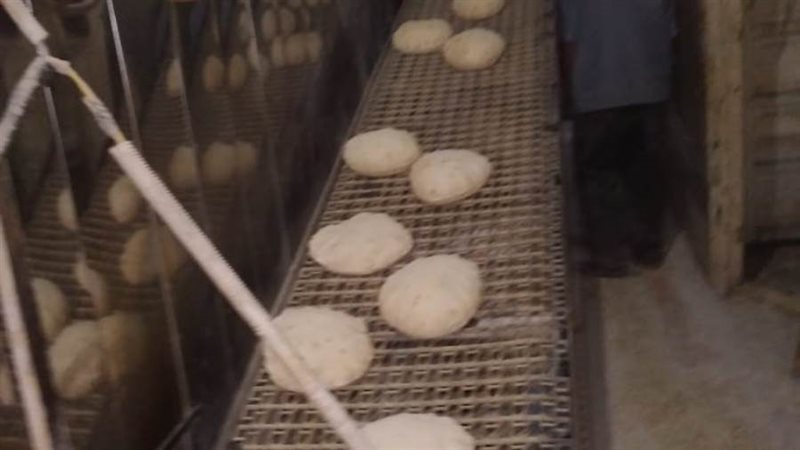 تموين الإسكندرية