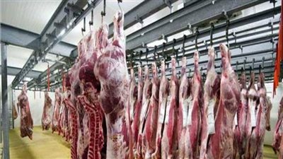 عاجل .. بيطري المنيا يشن حملات لفحص محلات الجزارة واللحوم المجمدة