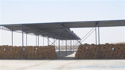 توريد 166 ألف طن قمح للصوامع بالمنيا