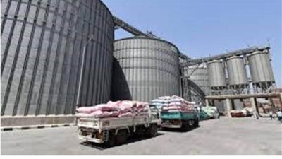 صوامع الوادي الجديد تستقبل القمح من المزارعين